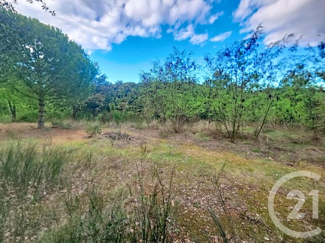 terrain à vendre - 8484.0 m2 - REYNES - 66 - LANGUEDOC-ROUSSILLON - Century 21 Agence Des Cerisiers