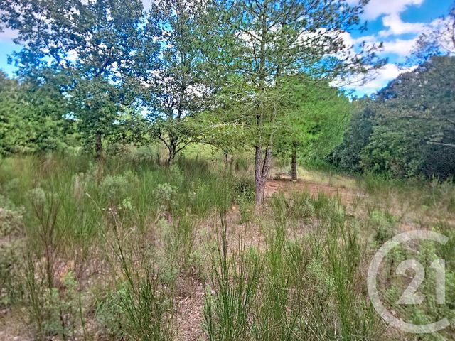 terrain à vendre - 8484.0 m2 - REYNES - 66 - LANGUEDOC-ROUSSILLON - Century 21 Agence Des Cerisiers