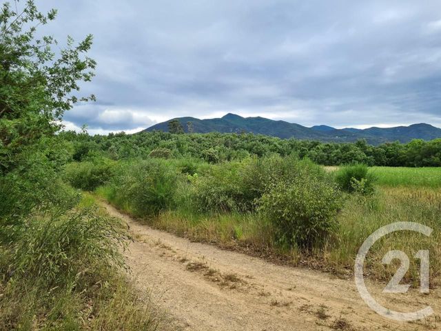 terrain à vendre - 3240.0 m2 - MAUREILLAS LAS ILLAS - 66 - LANGUEDOC-ROUSSILLON - Century 21 Agence Des Cerisiers terrain à vendre - 3240.0 m2 - MAUREILLAS LAS ILLAS - 66 - LANGUEDOC-ROUSSILLON - Century 21 Agence Des Cerisiers