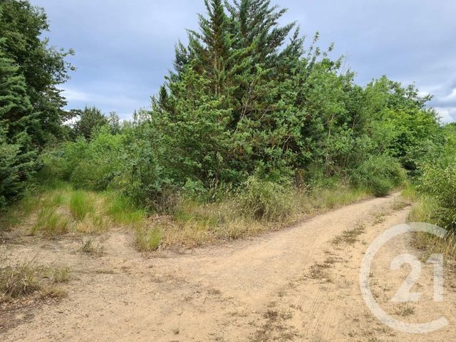 terrain à vendre - 3240.0 m2 - MAUREILLAS LAS ILLAS - 66 - LANGUEDOC-ROUSSILLON - Century 21 Agence Des Cerisiers terrain à vendre - 3240.0 m2 - MAUREILLAS LAS ILLAS - 66 - LANGUEDOC-ROUSSILLON - Century 21 Agence Des Cerisiers