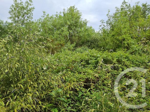 terrain à vendre - 3240.0 m2 - MAUREILLAS LAS ILLAS - 66 - LANGUEDOC-ROUSSILLON - Century 21 Agence Des Cerisiers terrain à vendre - 3240.0 m2 - MAUREILLAS LAS ILLAS - 66 - LANGUEDOC-ROUSSILLON - Century 21 Agence Des Cerisiers