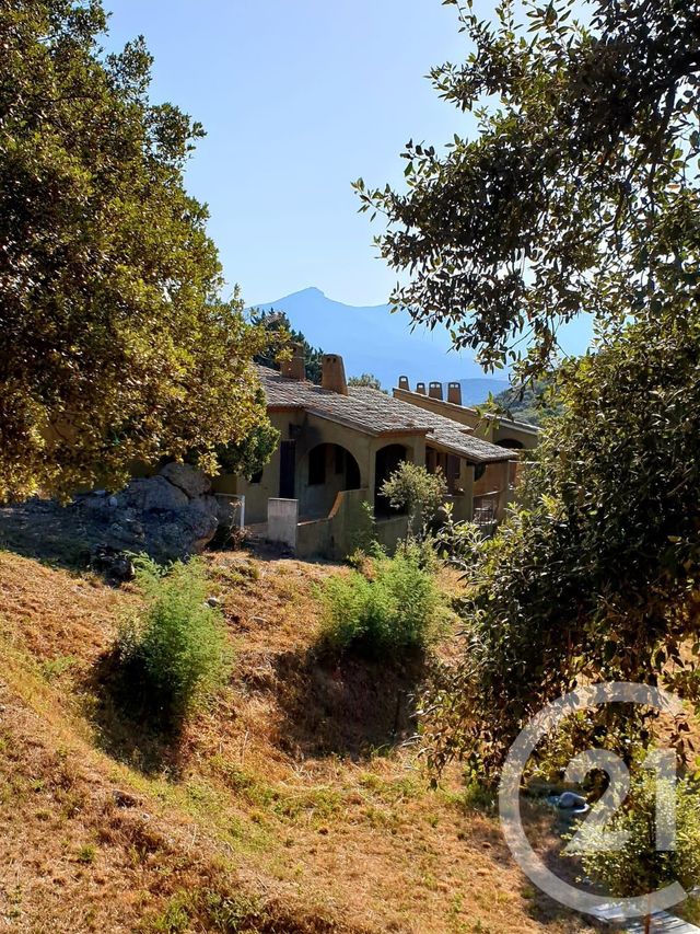 Afficher la photo en grand maison à vendre - 8 pièces - 166.0 m2 - CERET - 66 - LANGUEDOC-ROUSSILLON - Century 21 Agence Des Cerisiers