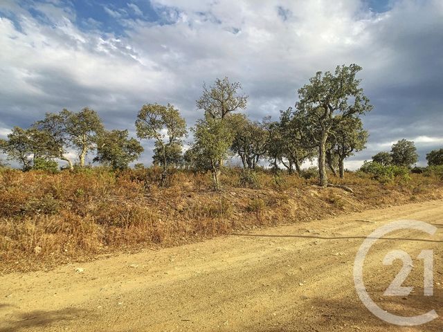 Afficher la photo en grand terrain à vendre - 15550.0 m2 - VIVES - 66 - LANGUEDOC-ROUSSILLON - Century 21 Agence Des Cerisiers