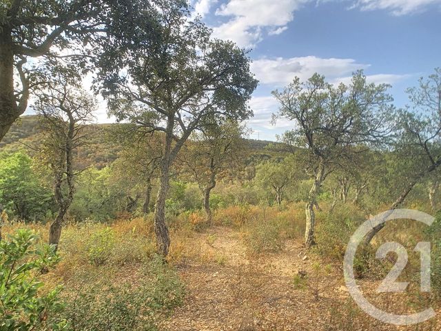 Afficher la photo en grand terrain à vendre - 15550.0 m2 - VIVES - 66 - LANGUEDOC-ROUSSILLON - Century 21 Agence Des Cerisiers