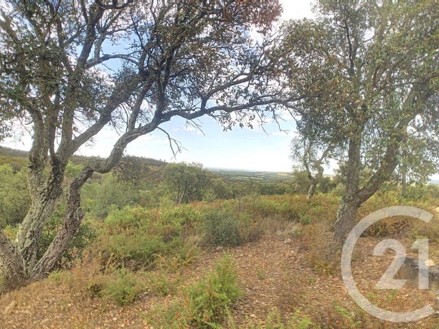 Afficher la photo en grand terrain à vendre - 15550.0 m2 - VIVES - 66 - LANGUEDOC-ROUSSILLON - Century 21 Agence Des Cerisiers