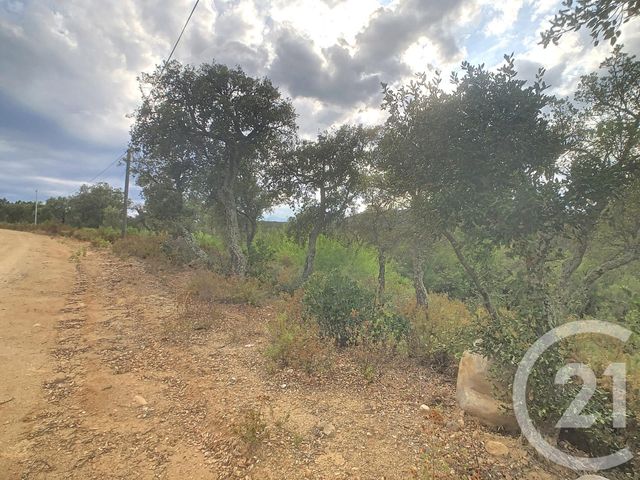 Afficher la photo en grand terrain à vendre - 15550.0 m2 - VIVES - 66 - LANGUEDOC-ROUSSILLON - Century 21 Agence Des Cerisiers