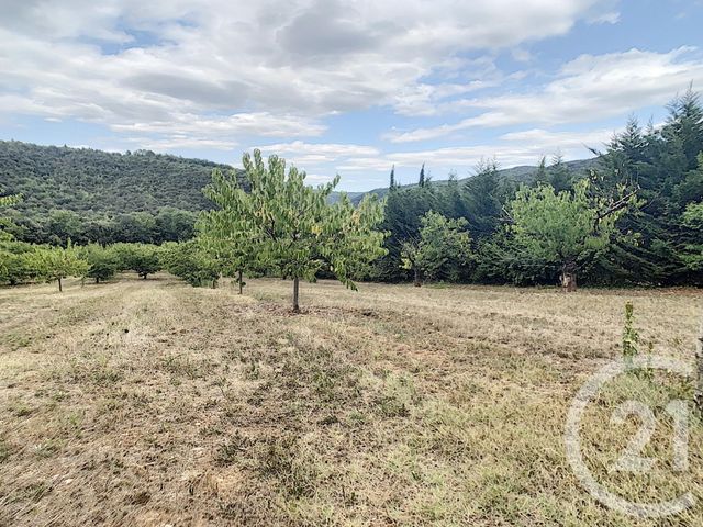 terrain à vendre - 2993.0 m2 - REYNES - 66 - LANGUEDOC-ROUSSILLON - Century 21 Agence Des Cerisiers