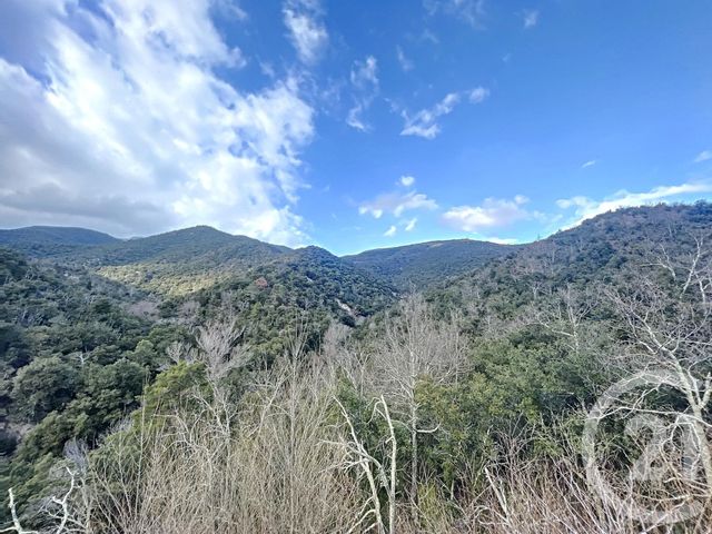 terrain à vendre - 125271.0 m2 - ARLES SUR TECH - 66 - LANGUEDOC-ROUSSILLON - Century 21 Agence Des Cerisiers