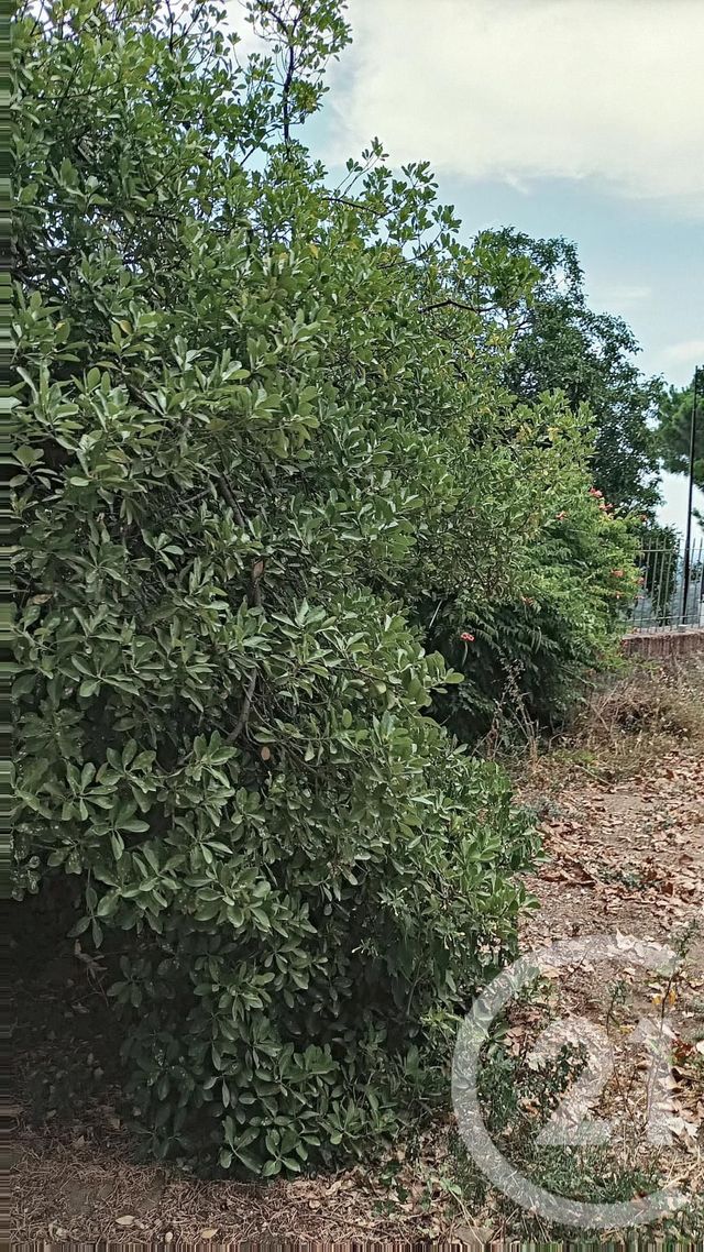 Afficher la photo en grand maison à vendre - 13 pièces - 298.11 m2 - LLAURO - 66 - LANGUEDOC-ROUSSILLON - Century 21 Agence Des Cerisiers