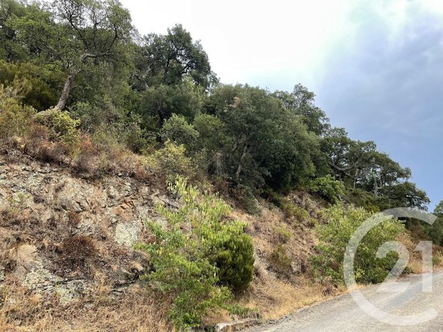 terrain à vendre - 7337.0 m2 - MAUREILLAS LAS ILLAS - 66 - LANGUEDOC-ROUSSILLON - Century 21 Agence Des Cerisiers