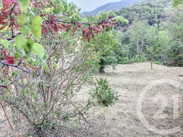 terrain à vendre - 500.0 m2 - AMELIE LES BAINS PALALDA - 66 - LANGUEDOC-ROUSSILLON - Century 21 Agence Des Cerisiers