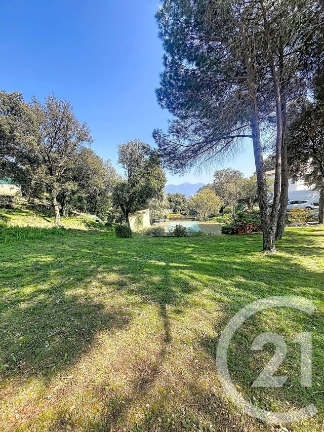 maison à vendre - 6 pièces - 164.0 m2 - CERET - 66 - LANGUEDOC-ROUSSILLON - Century 21 Agence Des Cerisiers