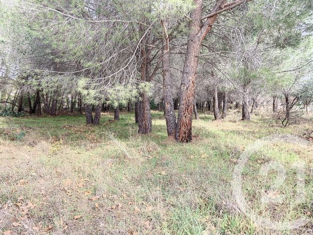 terrain à vendre - 9721.0 m2 - MONTESQUIEU DES ALBERES - 66 - LANGUEDOC-ROUSSILLON - Century 21 Agence Des Cerisiers