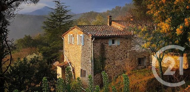 maison à vendre - 5 pièces - 132.6 m2 - REYNES - 66 - LANGUEDOC-ROUSSILLON - Century 21 Agence Des Cerisiers