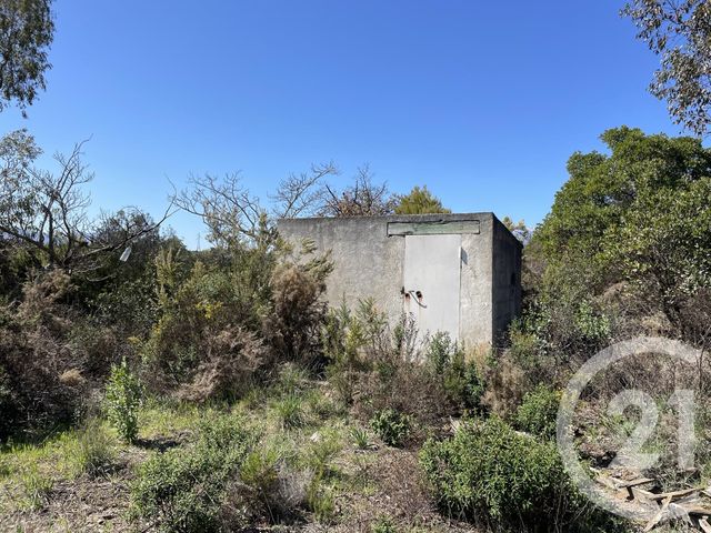 terrain à vendre - 13479.0 m2 - LLAURO - 66 - LANGUEDOC-ROUSSILLON - Century 21 Agence Des Cerisiers