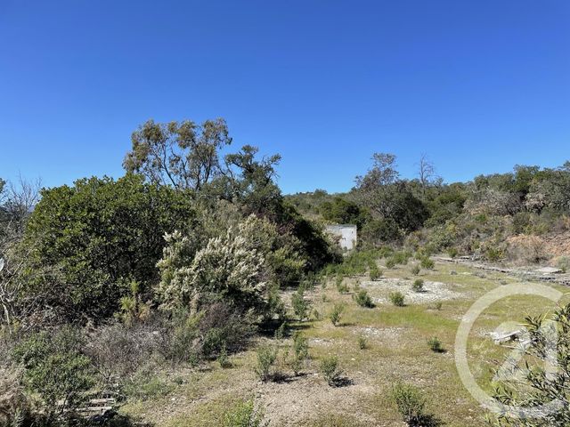 terrain à vendre - 13479.0 m2 - LLAURO - 66 - LANGUEDOC-ROUSSILLON - Century 21 Agence Des Cerisiers