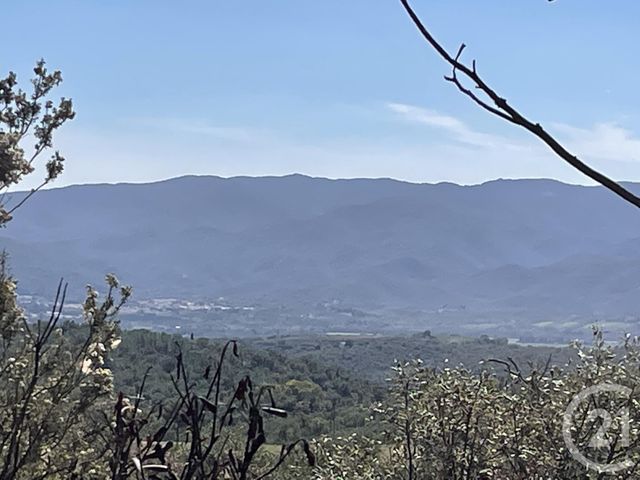 terrain à vendre - 13479.0 m2 - LLAURO - 66 - LANGUEDOC-ROUSSILLON - Century 21 Agence Des Cerisiers