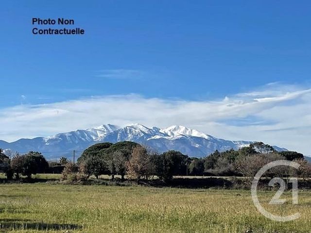 maison à vendre - 5 pièces - 136.35 m2 - 66 - LANGUEDOC-ROUSSILLON - Century 21 Agence Des Cerisiers