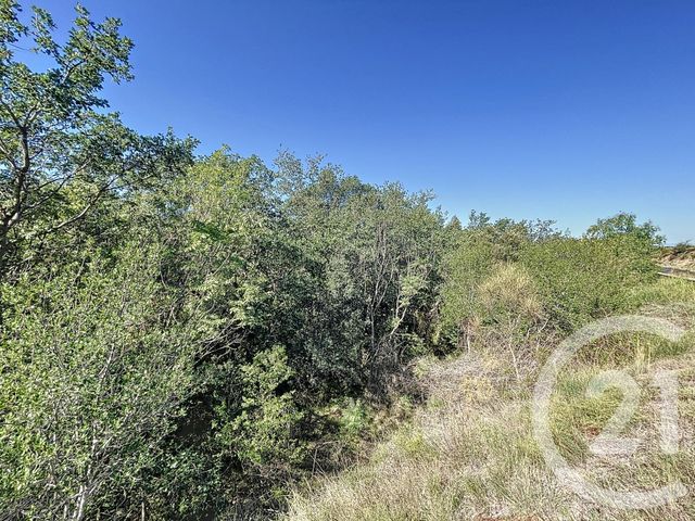 terrain à vendre - 1700.0 m2 - MONTESQUIEU DES ALBERES - 66 - LANGUEDOC-ROUSSILLON - Century 21 Agence Des Cerisiers