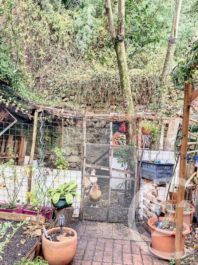 maison à vendre - 8 pièces - 172.4 m2 - AMELIE LES BAINS PALALDA - 66 - LANGUEDOC-ROUSSILLON - Century 21 Agence Des Cerisiers