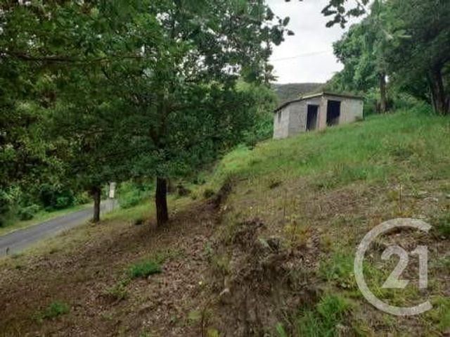 terrain à vendre - 643.0 m2 - CERET - 66 - LANGUEDOC-ROUSSILLON - Century 21 Agence Des Cerisiers