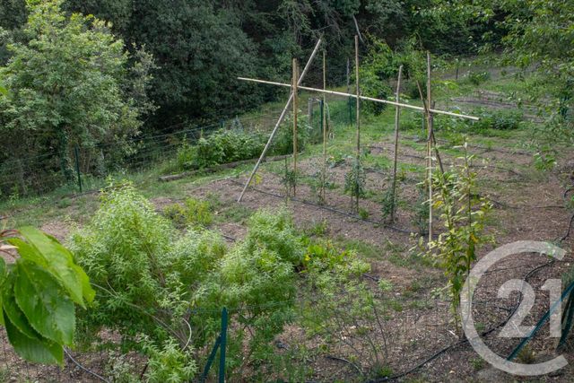 maison à vendre - 6 pièces - 249.1 m2 - TAILLET - 66 - LANGUEDOC-ROUSSILLON - Century 21 Agence Des Cerisiers