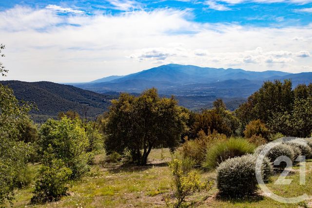 maison à vendre - 6 pièces - 249.1 m2 - TAILLET - 66 - LANGUEDOC-ROUSSILLON - Century 21 Agence Des Cerisiers