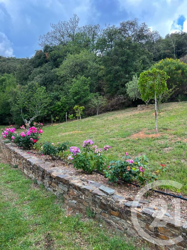 maison à vendre - 6 pièces - 249.1 m2 - TAILLET - 66 - LANGUEDOC-ROUSSILLON - Century 21 Agence Des Cerisiers