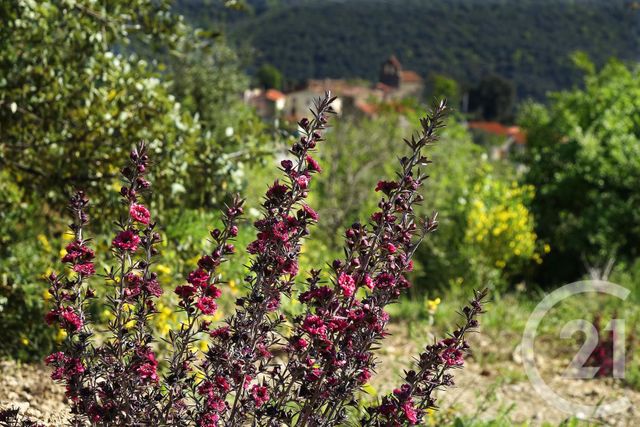 maison à vendre - 6 pièces - 249.1 m2 - TAILLET - 66 - LANGUEDOC-ROUSSILLON - Century 21 Agence Des Cerisiers