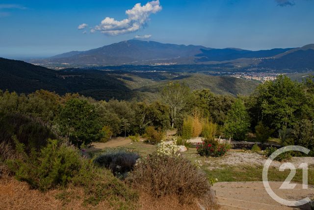 maison à vendre - 6 pièces - 249.1 m2 - TAILLET - 66 - LANGUEDOC-ROUSSILLON - Century 21 Agence Des Cerisiers