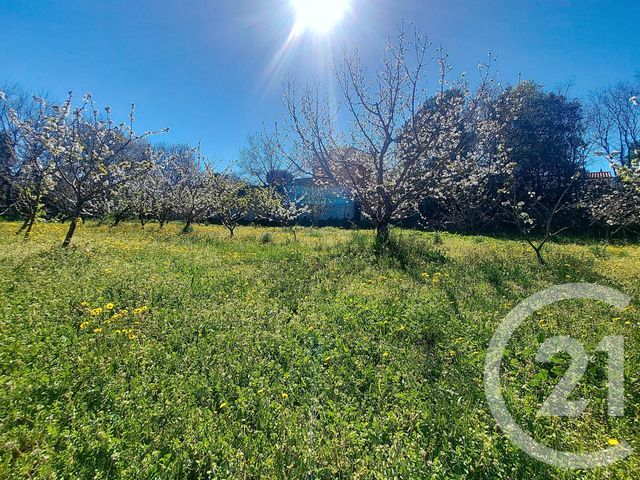 terrain à vendre - 1027.0 m2 - CERET - 66 - LANGUEDOC-ROUSSILLON - Century 21 Agence Des Cerisiers