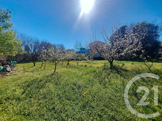 terrain à vendre - 1027.0 m2 - CERET - 66 - LANGUEDOC-ROUSSILLON - Century 21 Agence Des Cerisiers