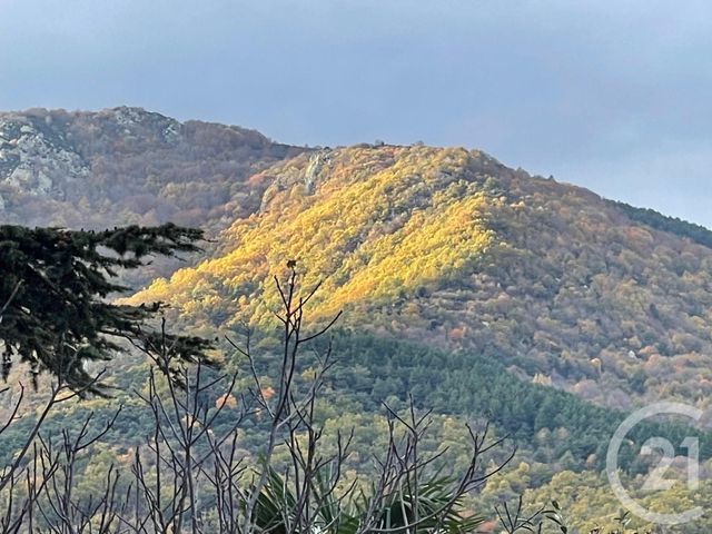 terrain à vendre - 2332.0 m2 - MAUREILLAS LAS ILLAS - 66 - LANGUEDOC-ROUSSILLON - Century 21 Agence Des Cerisiers