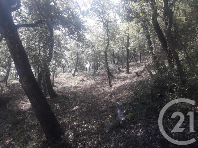 terrain à vendre - 4700.0 m2 - MONTESQUIEU DES ALBERES - 66 - LANGUEDOC-ROUSSILLON - Century 21 Agence Des Cerisiers