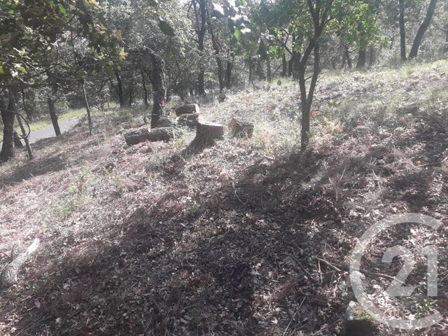 terrain à vendre - 4700.0 m2 - MONTESQUIEU DES ALBERES - 66 - LANGUEDOC-ROUSSILLON - Century 21 Agence Des Cerisiers