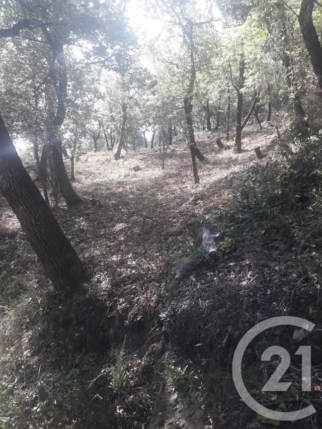 terrain à vendre - 4700.0 m2 - MONTESQUIEU DES ALBERES - 66 - LANGUEDOC-ROUSSILLON - Century 21 Agence Des Cerisiers