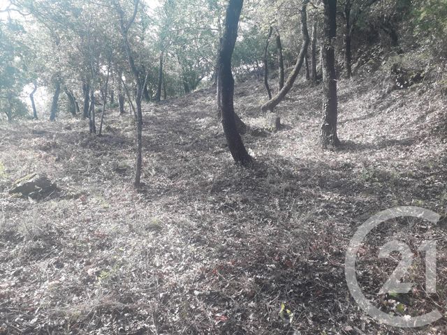 terrain à vendre - 4700.0 m2 - MONTESQUIEU DES ALBERES - 66 - LANGUEDOC-ROUSSILLON - Century 21 Agence Des Cerisiers