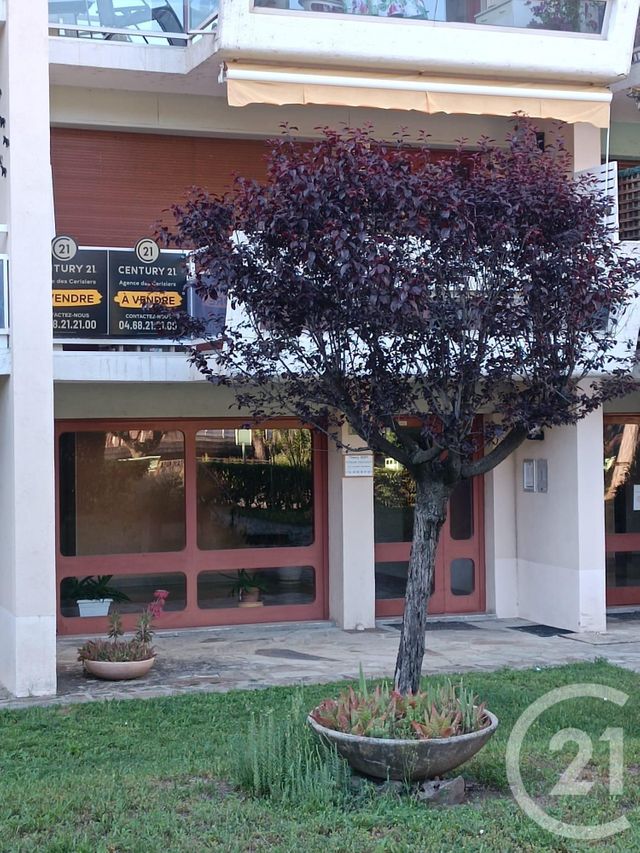 appartement - AMELIE LES BAINS PALALDA - 66