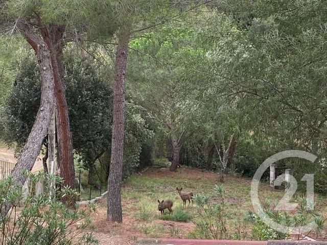 maison à vendre - 4 pièces - 98.89 m2 - CERET - 66 - LANGUEDOC-ROUSSILLON - Century 21 Agence Des Cerisiers