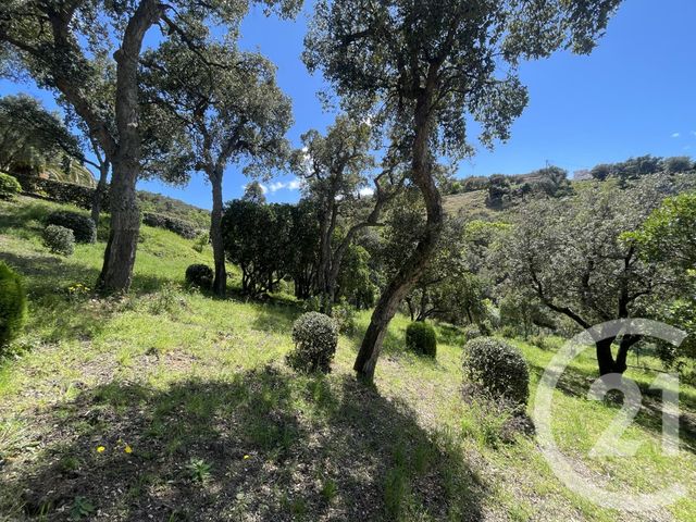 maison à vendre - 6 pièces - 217.0 m2 - LE BOULOU - 66 - LANGUEDOC-ROUSSILLON - Century 21 Agence Des Cerisiers